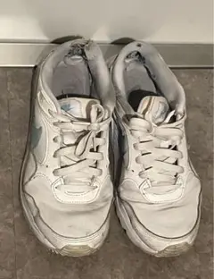Nike AIR MAXスニーカー CW4554-112 24cm エアマックス