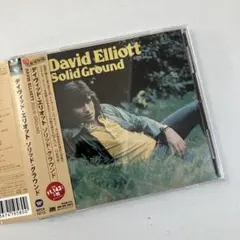 デイヴィッド・エリオット　ソリッド・グラウンド