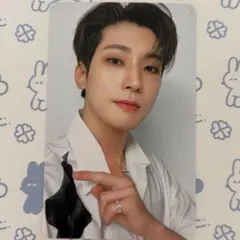 SEVENTEEN INCOMPLETE DVD ウォヌ　トレカ