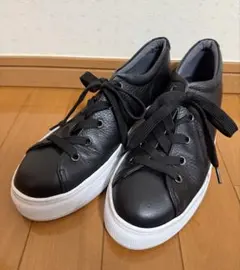 Item thumbnail for item e8090adf-d8d6-4435-a663-1de4525ae00c