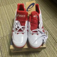 Item thumbnail for item 5583e8f1-b739-48a1-9c4f-43c7dadf768e