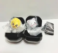 【新品未開封・匿名配送】ポガリ、ジニレット　リング