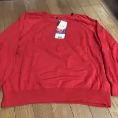 大きいサイズ 4l