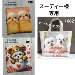 スーディー様 リクエスト 3点 まとめ商品