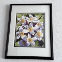 ★美品★【額装済み】ＧＡＲＲＹ　ＰＡＬＭ　絵画　プルメリア　ハワイアン ☆美品☆【額装済み】GARRY PALM 絵画 プルメリア ハワイアン