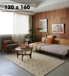 journal standard BLOOMPAISLEY RUG