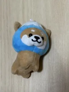 ご当地マメしば