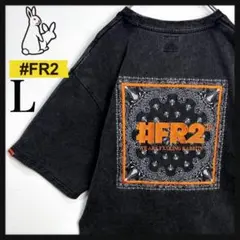 最高デザイン】FR2 ペイズリー 刺繍ロゴ Tシャツ ピンク ピグメント 美 