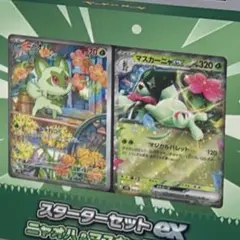 AR2枚セット】ゾロア AR ニャオハ AR ポケモンカード - メルカリ