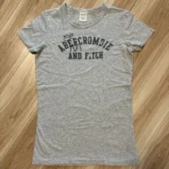 Abercrombie & Fitch ロゴ刺繍Tシャツ グレー M y2kのサムネイル