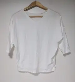 Item thumbnail for item 2d8c0e8f-7753-4dde-ba51-3611b226f8ec