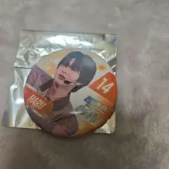 超特急 ハル 缶バッジ