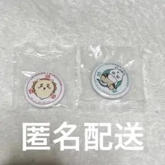 ちいかわ くら寿司 缶バッジ 2個セット