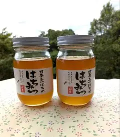 まみりんさん専用国産みかん蜂蜜1200g×2 まみりんさん専用国産みかん蜂蜜1200g×2 - メルカリ