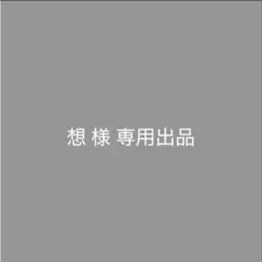 想（プロフィールを念の為ご確認下さい）様 リクエスト 2点 まとめ商品