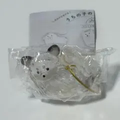 うちの子のけだまだま 犬 チワワ ②