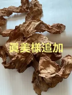 Item thumbnail for item 5177c04a-0cd4-4623-881c-af078c575464