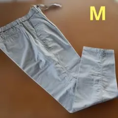 Item thumbnail for item e7fbc2f8-5761-499e-9458-a8ea6fc1eb13