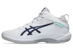 ASICS GELHOOP V17 30.0cmのサムネイル