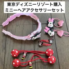 まとめ売り 女の子 ヘアゴム　リボン ヘアアクセサリー　ディズニーランド　ミニー