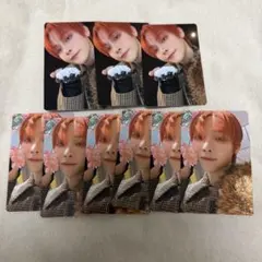 &TEAM NICHOLAS 雪明かり　トレカまとめ売り