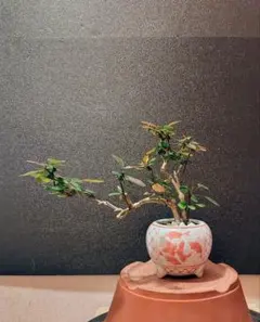 @BO様 リクエスト 2点 まとめ商品