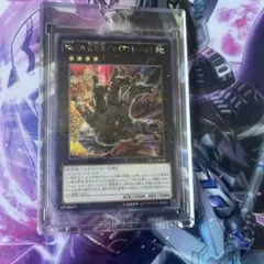 遊戯王 日本選手権2026 プロモ the lady's protectors - メルカリ
