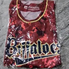 Item thumbnail for item a4027ae1-7545-4202-ad93-22bf18a48ea6