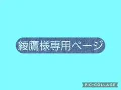 綾鷹様 リクエスト 2点 まとめ商品