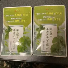 【新品・即日発送】3袋 120粒 桑の葉 茶カテキンの恵み 和漢の森 新品未開封品 和漢の森 桑の葉&茶カテキンの恵み 120粒入 3袋セット
