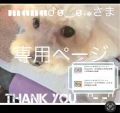 mana(*^^*)様 リクエスト 2点 まとめ商品