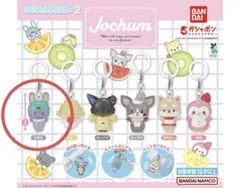 ジェオチャム　JOCHUM ちまた