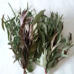 晴束（ハレタバ）様 リクエスト 3点 まとめ商品