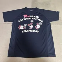 73rd All Japan Volleyball ファイテン Tシャツ レアのサムネイル