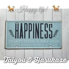 【HAPPINESSハピネス／シャビーシック・ブリキ看板プレート／麻ひも付き】