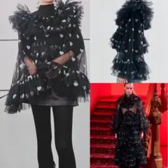 Viviano チュール トップ ハート柄 24Aw 美品 2026年最新】VIVIANO レディースの人気アイテム - メルカリ