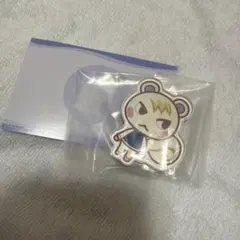 あつまれどうぶつの森　あつ森　キャラマグネッツ　ジュン