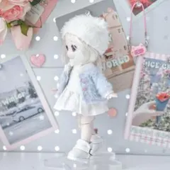 2つセット ピンク+ブルー ボニーバニー6 兎の夢匣用服 C4F ドール用