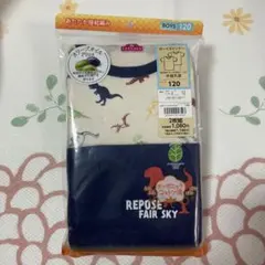 恐竜柄 オーガニック コットン アンダー シャツ 120cm 2枚組 半袖