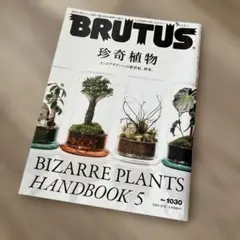 Item thumbnail for item 55679dd3-4a3d-4e2e-b587-dd7f5963f315