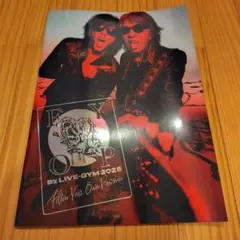B'z  ツアーパンフ・グッズ　他 B'z LIVE GYM pleasure93 パンフレット&グッズ - メルカリ