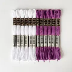 刺繍糸 25番 2色 12束 白 紫 ホワイト パープル まとめ売り 手芸 裁縫