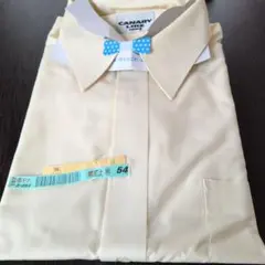 Item thumbnail for item 736f4d50-a9f7-4378-8d10-ce2b5c7ba12e