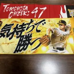 開封済未使用】大谷翔平 非売品ブランケット エンゼルス 野球 メジャー