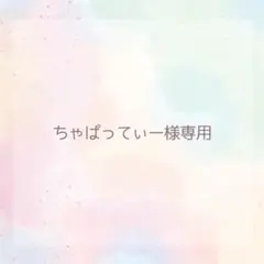 ちゃぱってぃー様専用ページ