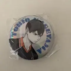 ハイキュー‼︎ ガチャガチャ　ポートレートシャイニー　缶バッジ　影山