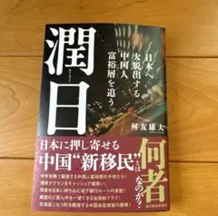 潤日(ルンリィー) : 日本へ大脱出する中国人富裕層を追う