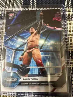 Item thumbnail for item 9e005487-4929-48e2-9774-de2db006c7a7