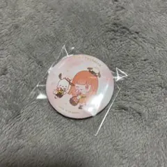 カラフルピーチ カラピチ えと ミニキャラ サンリオ コラボ 缶バッジ
