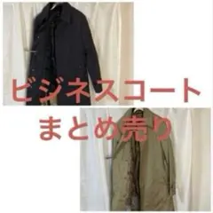 Item thumbnail for item 1fc32841-b7c7-49e1-b8cd-63a9e89602f4